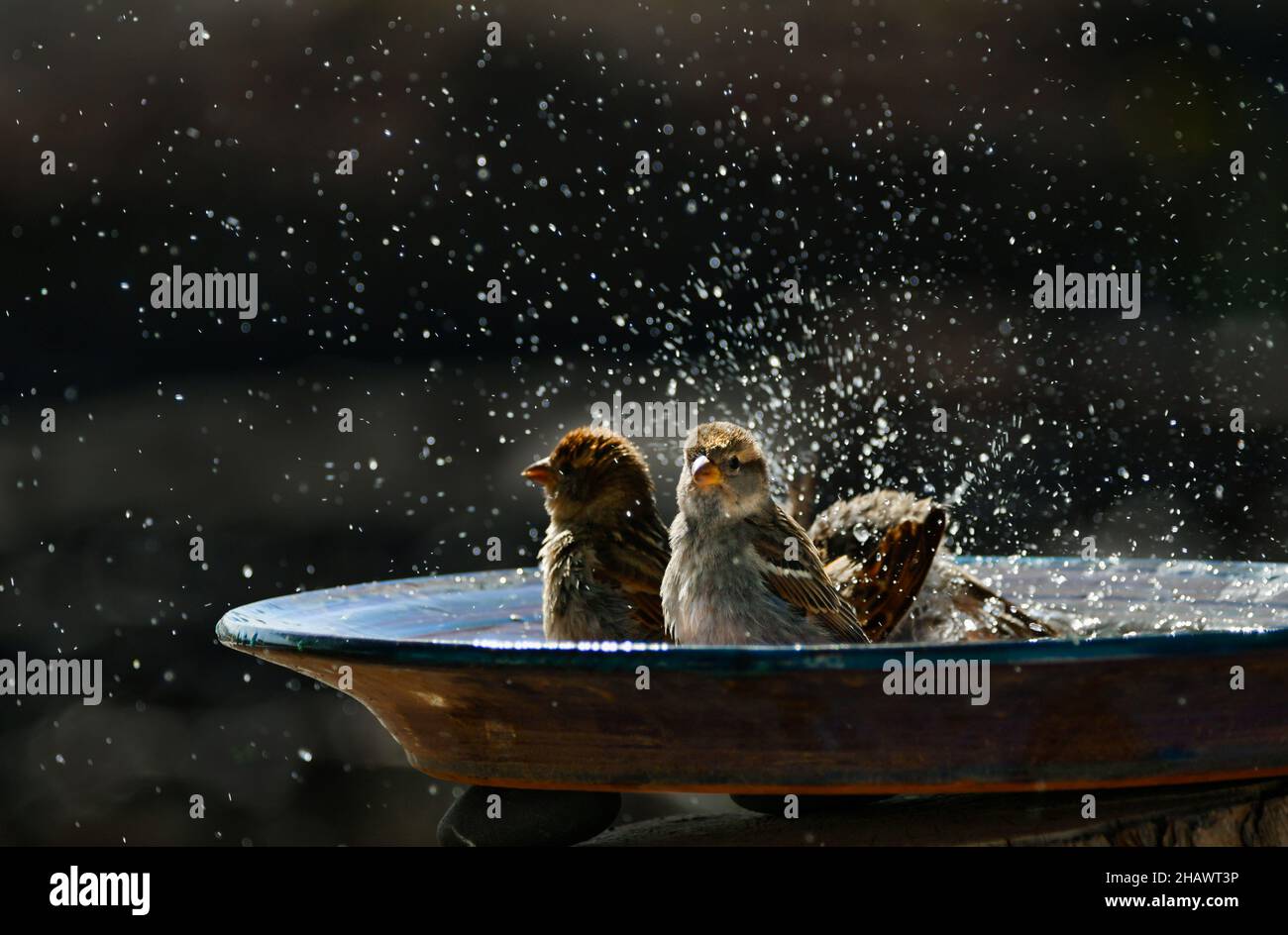 Hawt pair taking a baths