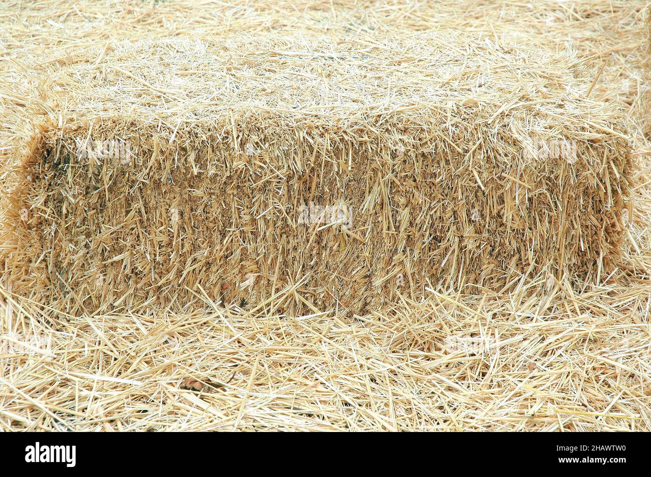 Haystack in the farm Stock Photo Alamy