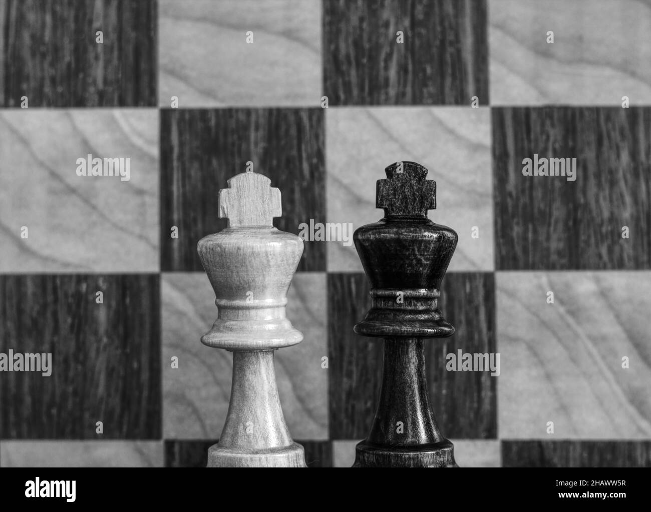 black and white chess kings Stock Photo