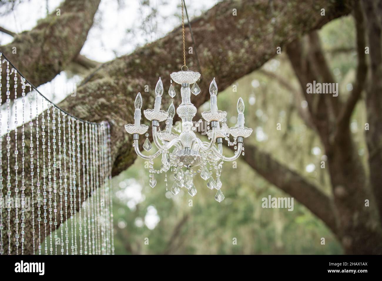 Chrystal vintage chandelier decoration hanging from a tree at outdoor wedding ceremony altar Stock Photo