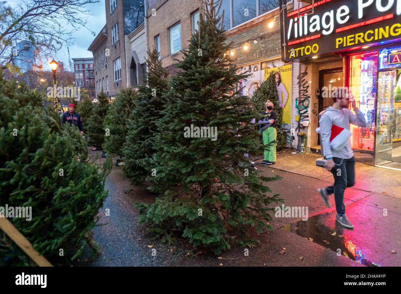 Passerby walk past a Christmas tree seller’s forest in the Greenwich