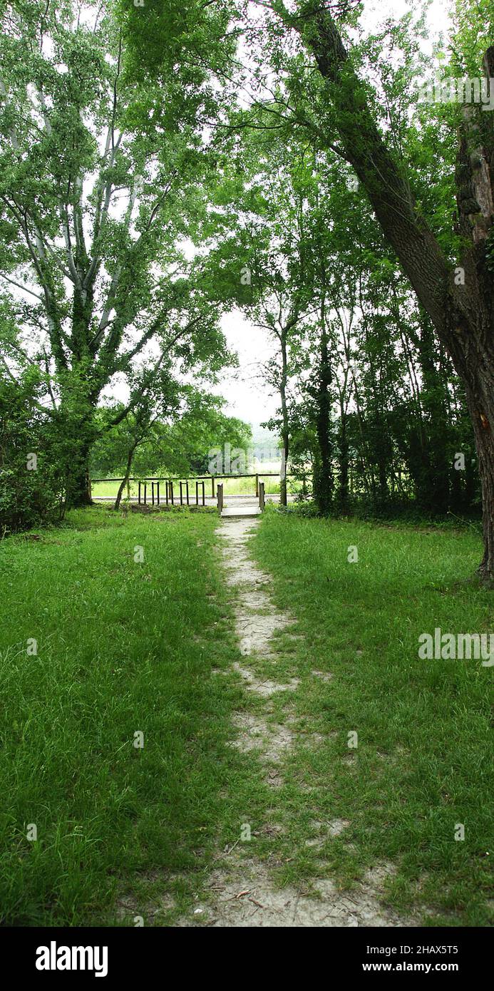 Banyoles forest and lake, Catalunya, Spain, Europe Stock Photo