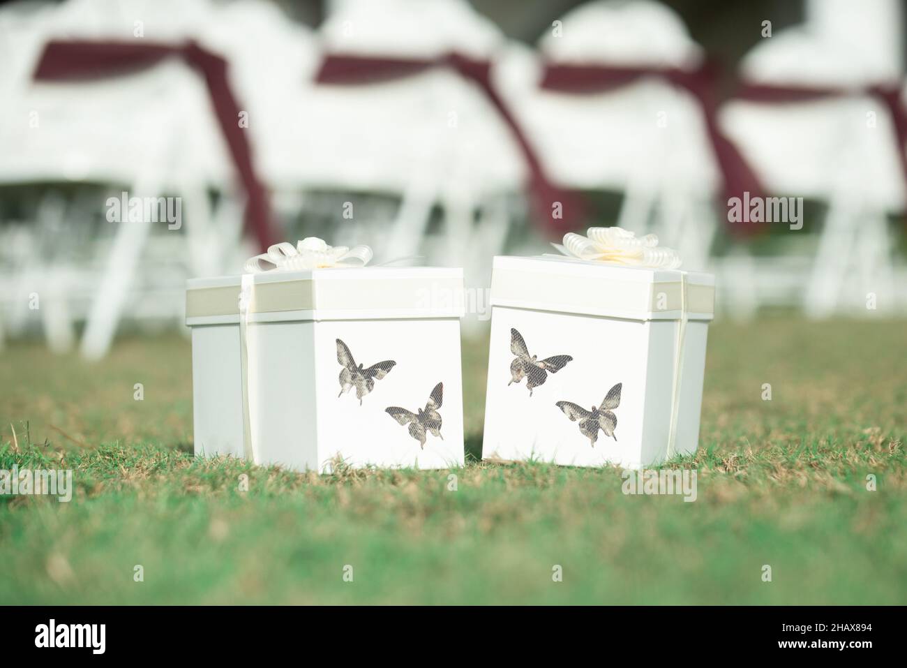 White Butterfly Release Boxes with White Bows and butterfly shaped cut