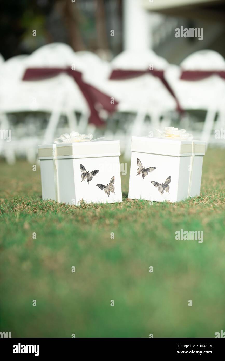 White Butterfly Release Boxes with White Bows and butterfly shaped cut