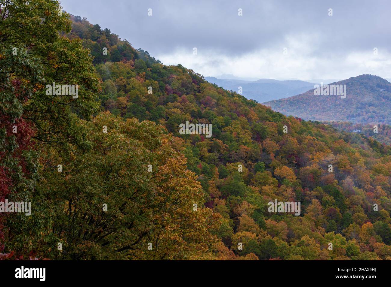 Autumn colors seen driving the scenic Blue Ridge Parkway in North ...