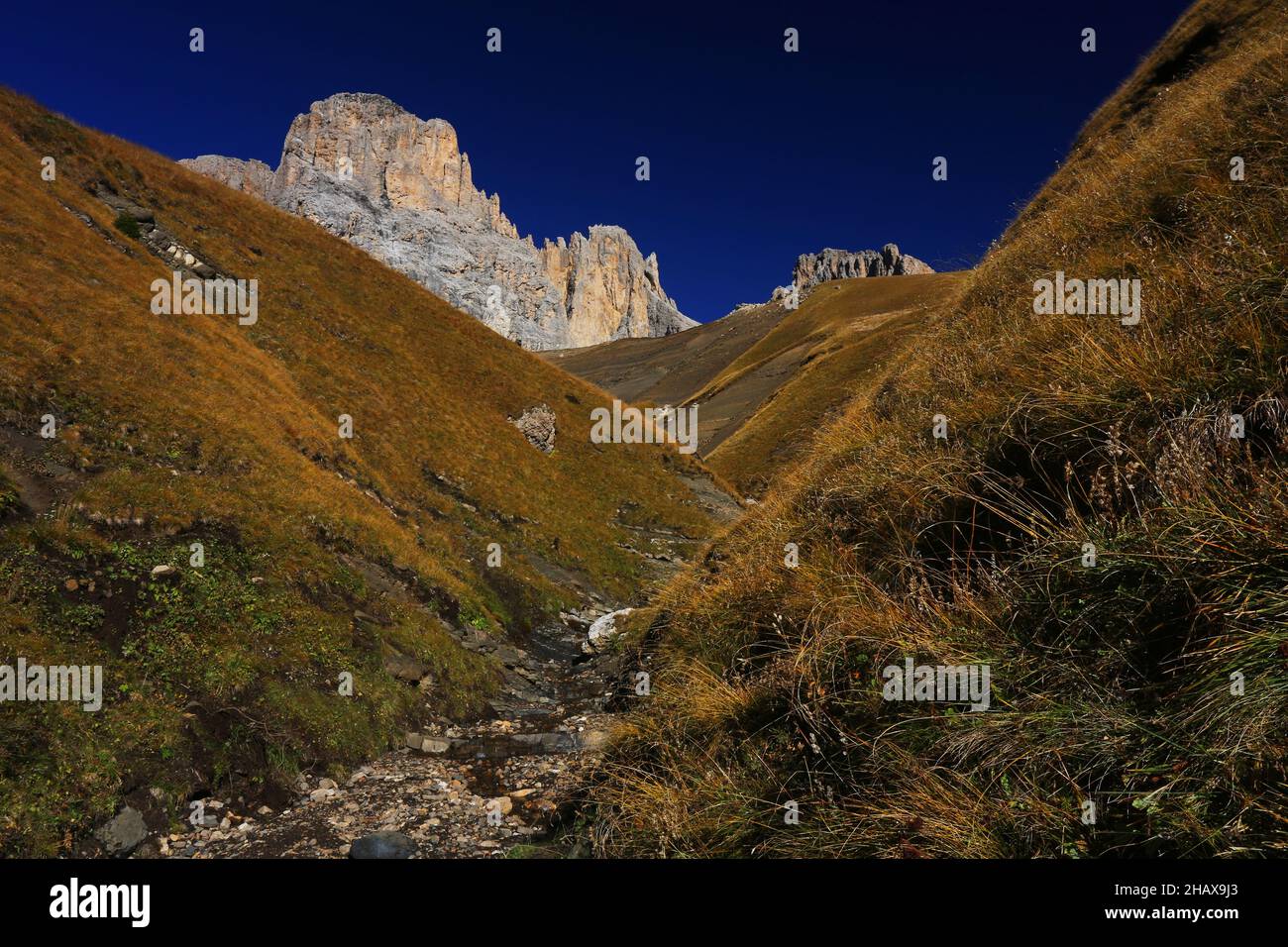 Langkofel, Sassolungo, Dolomiten, Panorama mit atemberaubender Aussicht auf Bach, Wiesen und Felsgipfel in Südtirol in den Dolomiten in Italien Stock Photo
