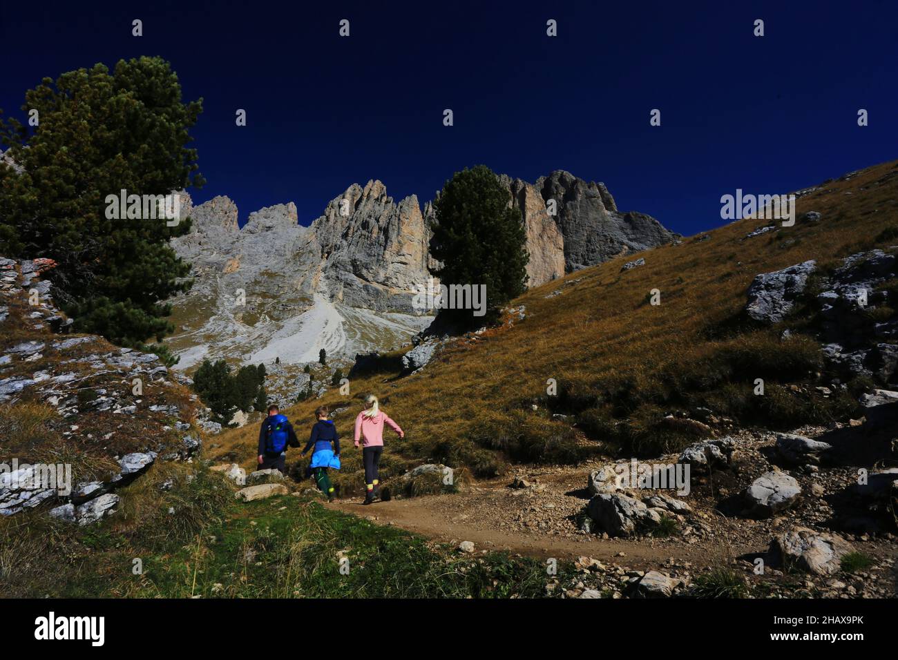Dolomiten, Familie mit Kindern wandert auf Berge und Felsen am  Langkofel, Sasso Lungo mit Blick und Aussicht auf den Sasolungo in Südtirol Stock Photo