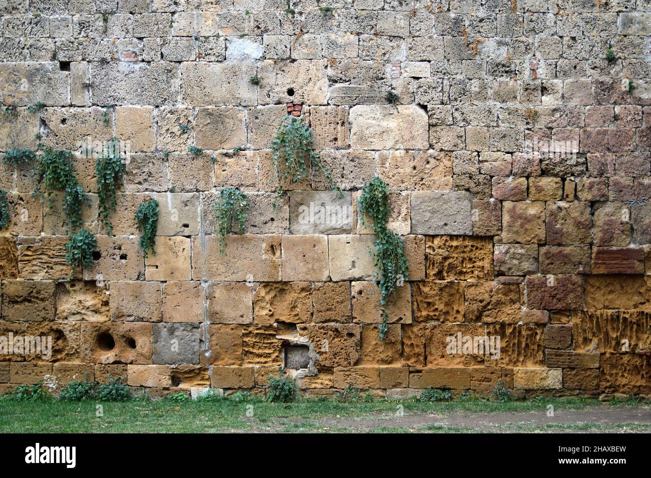 Old brick wall plants growing hi-res stock photography and images - Alamy