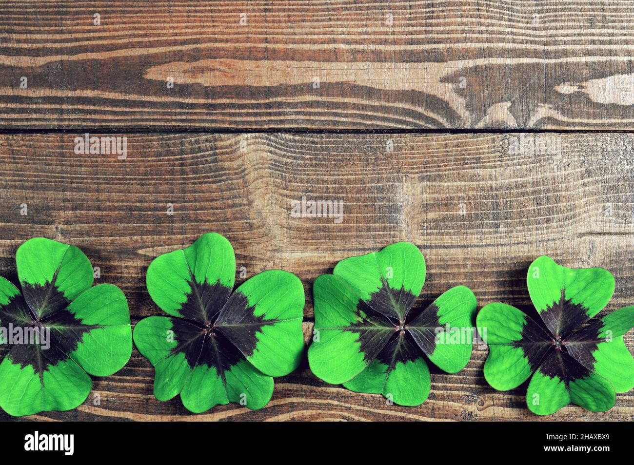 Shamrock border on wooden background with copy space Stock Photo