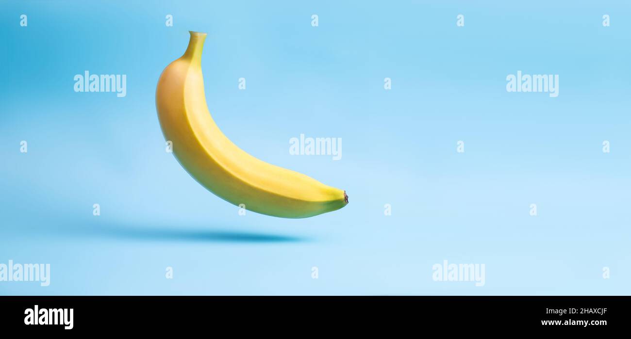 Banana levitation. A whole yellow banana on a blue background. Place for your text. Stock Photo
