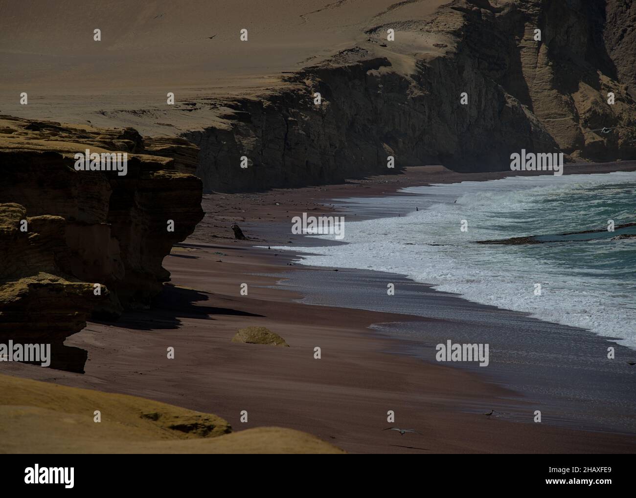 Local fisherman walks peru beach placing nets traps to provide food for ...