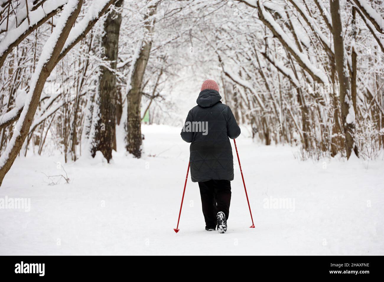 Old woman walking forest hi-res stock photography and images - Alamy