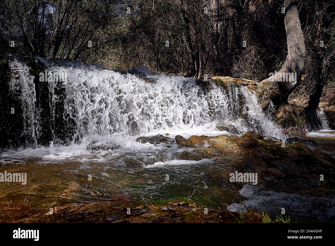 Transparent waterfall in the forest on a sunny day. Troubled water, trees on the shore, idyllic landscape. Stock Photo