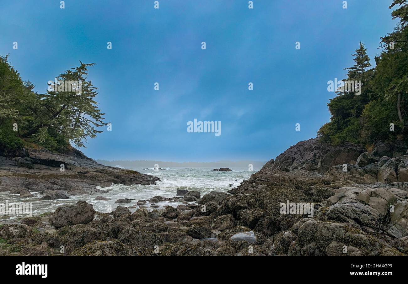 Coastal landscape, Long Beach, Tofino, Pacific Rim National Park Reserve, Vancouver Island, Vancouver, British Columbia, Canada Stock Photo