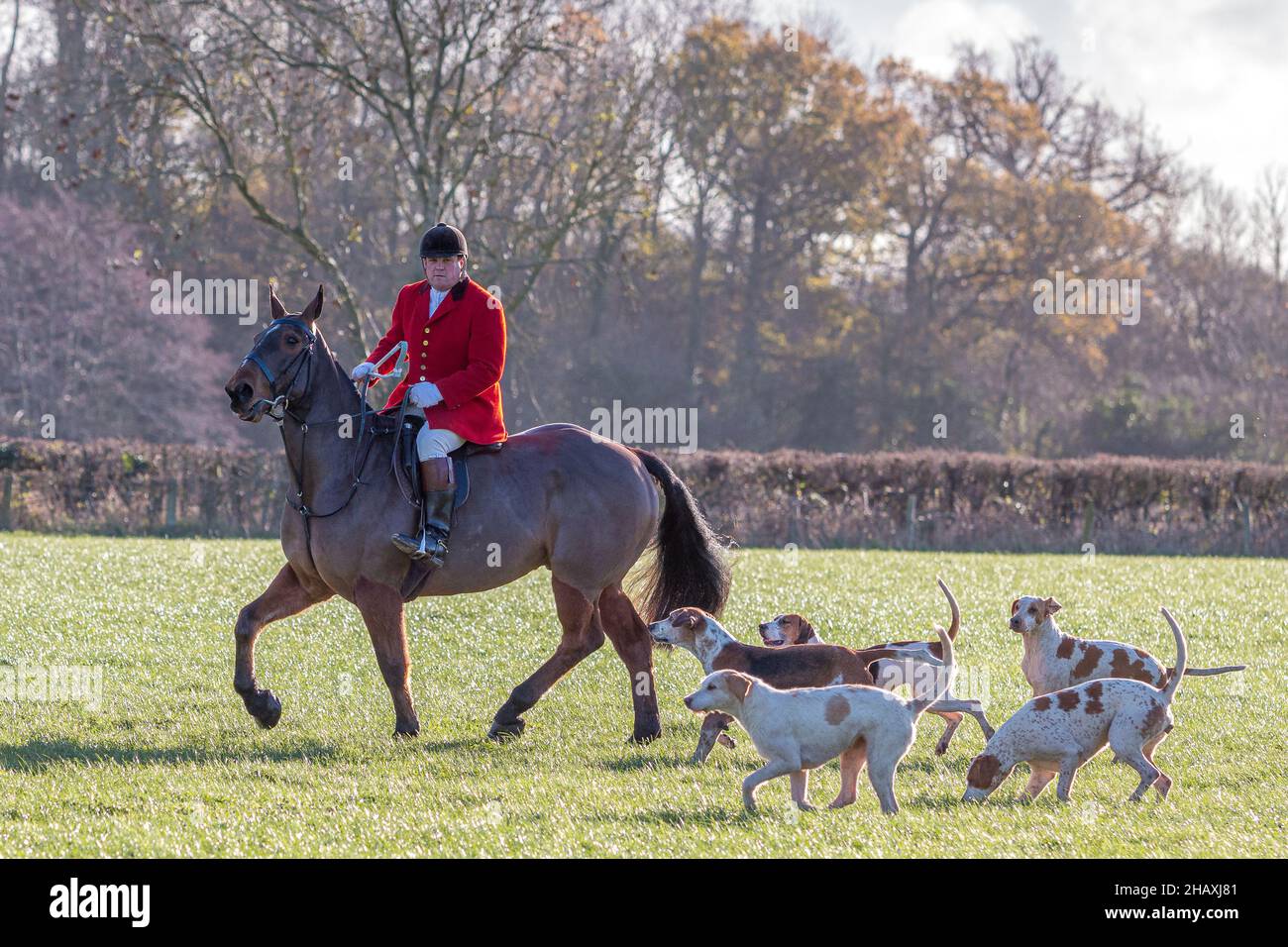 WINTER TRAIL HUNTING Stock Photo Alamy