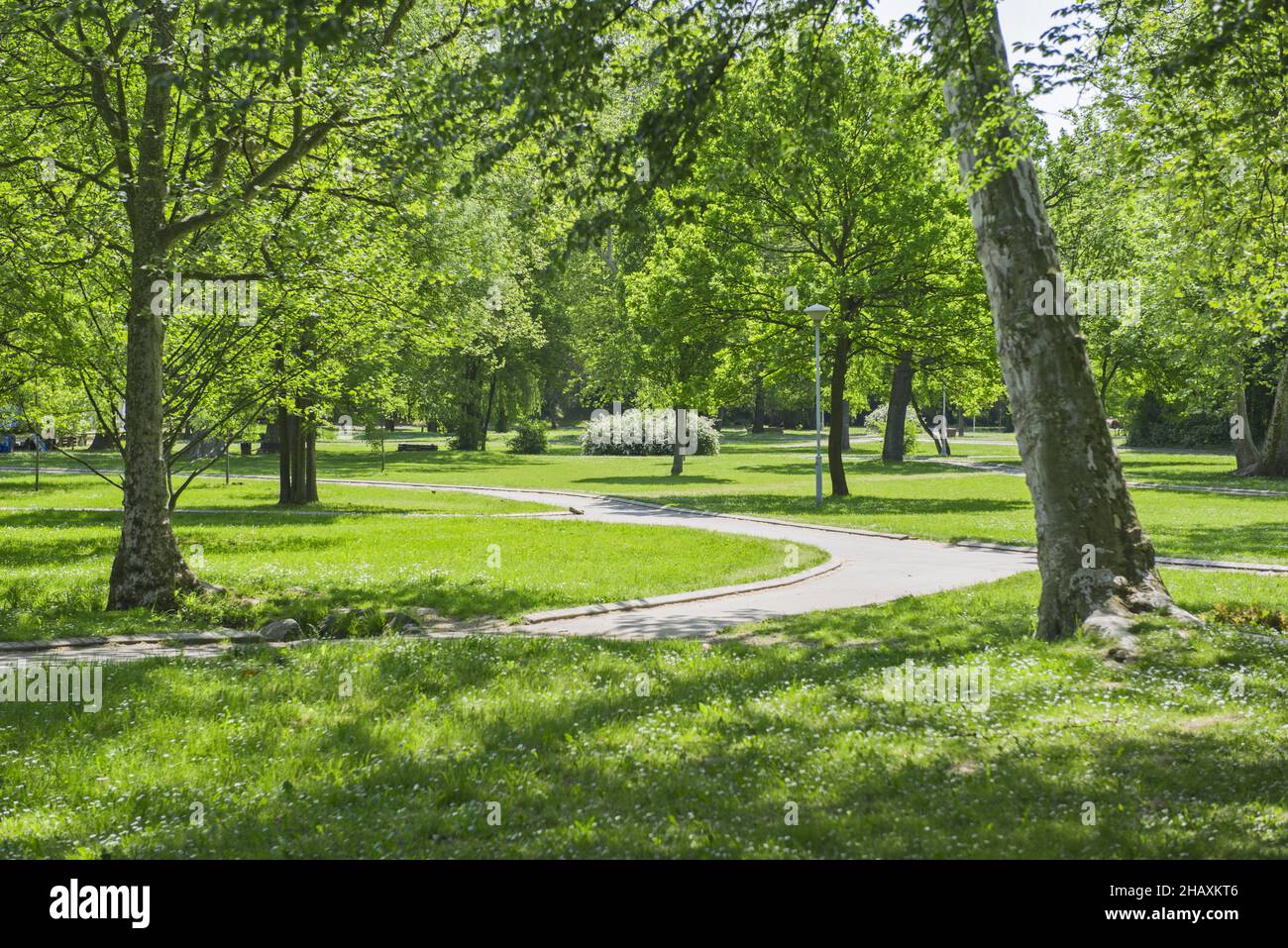 Beautiful view of green grass field and large trees in a park Stock ...
