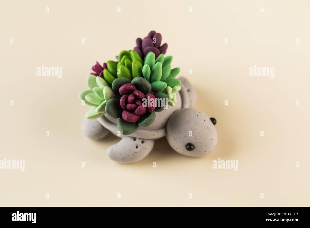 succulents with thorns bud Euphorbia milii Crown of Thorns Madagascar Catus Succulent Plant –  MadHappenings main image 0