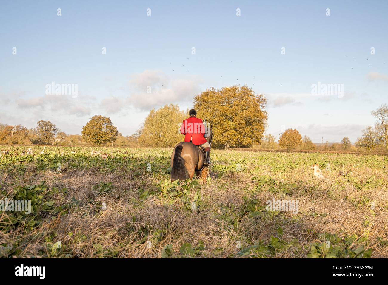 WINTER TRAIL HUNTING Stock Photo Alamy