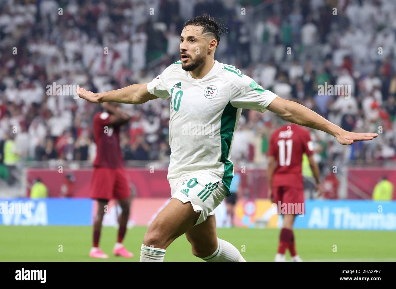 Algeria qatar vs Algeria vs