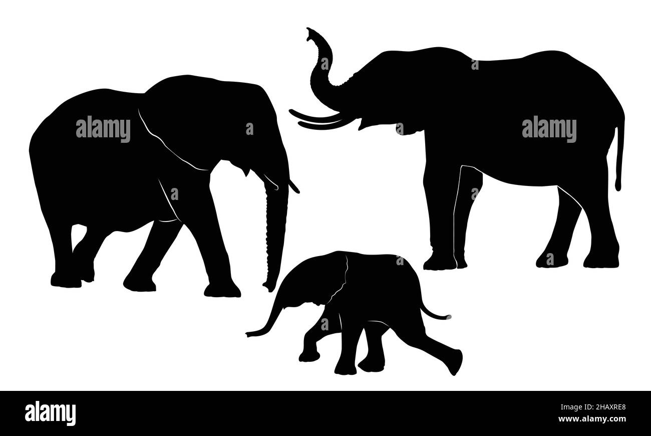 elephants family on white background. elephant silhouette. Stock Vector