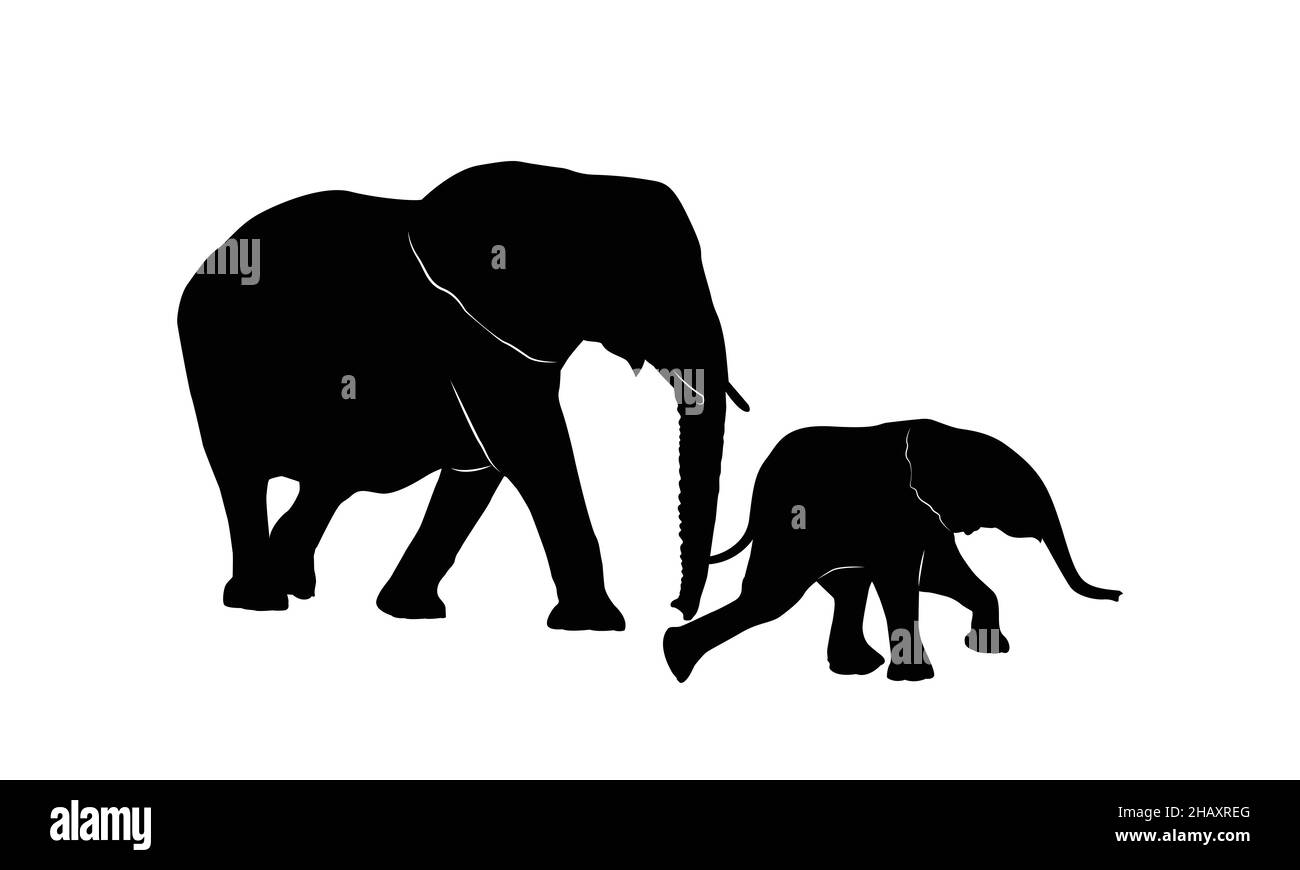 elephants family on white background. elephant silhouette. Stock Vector