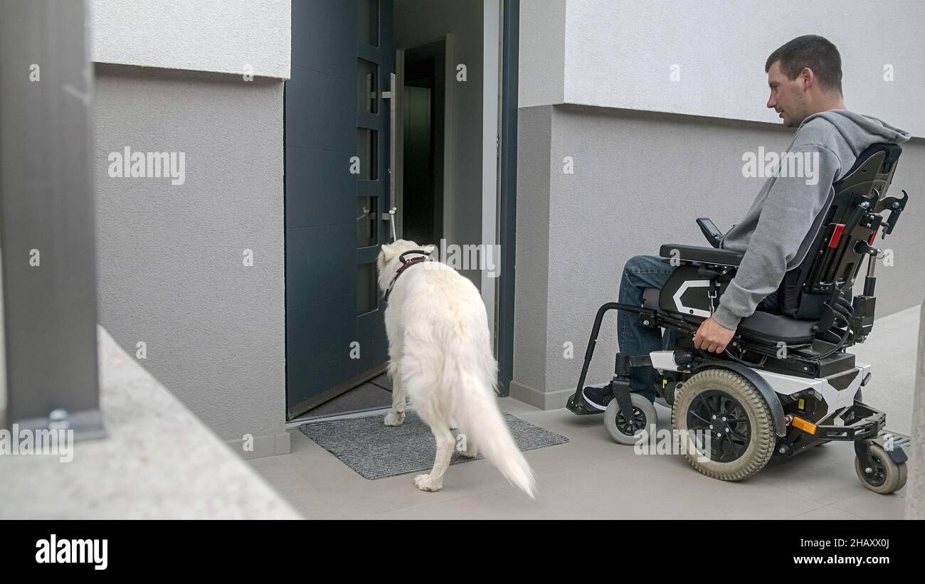 service dog door pull