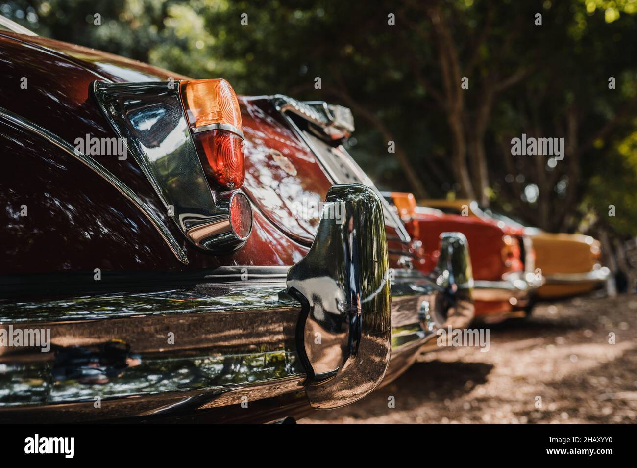 Bumpers of old timer automobiles parked on pathway near tall green trees on street of city on sunny summer day Stock Photo