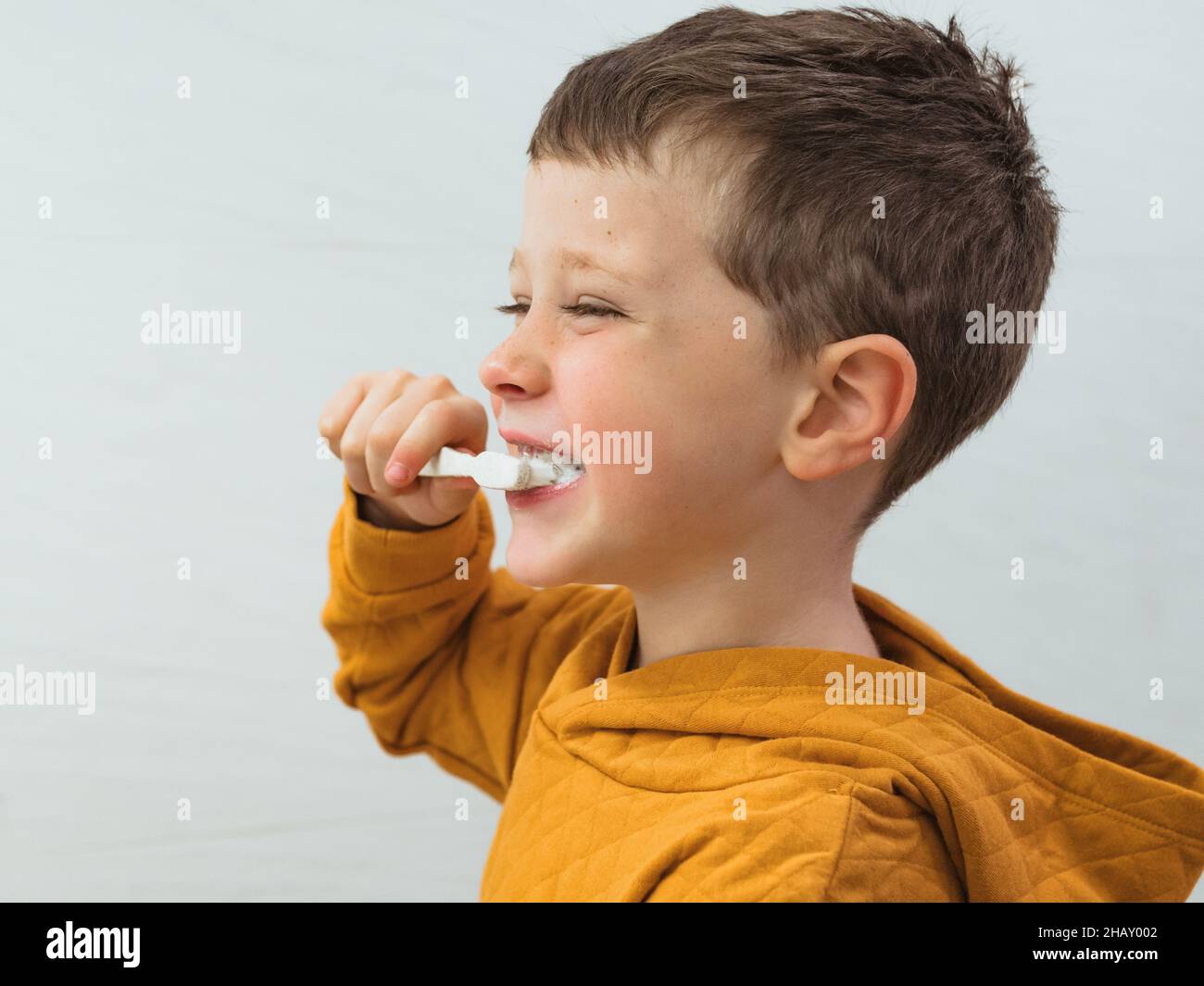 Cute boy in casual wear brushing teeth in bathroom during morning hygienic routine at home Stock Photo
