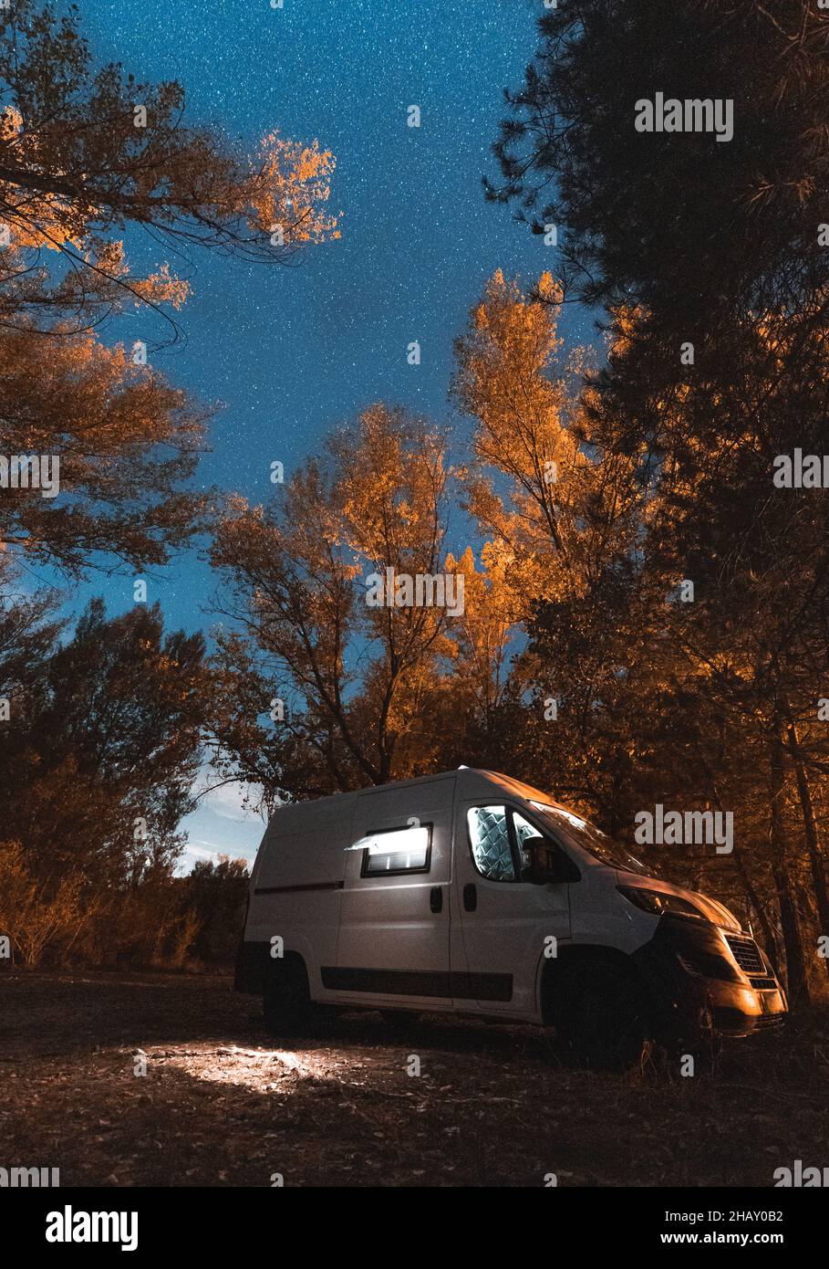 From below of white camper van parked in forest with tall trees and dry ...