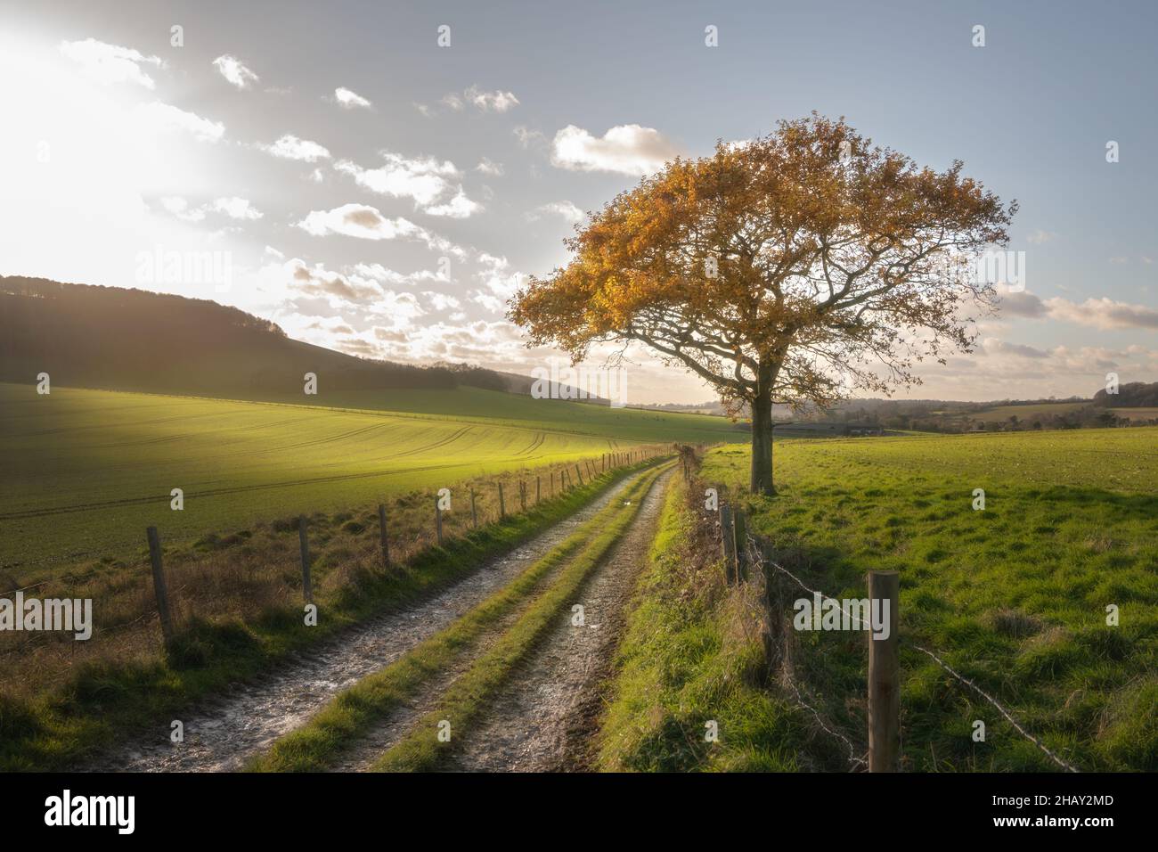 The sun hangs low across a rural countryside scene in Stoughton, West Sussex, as winter brings