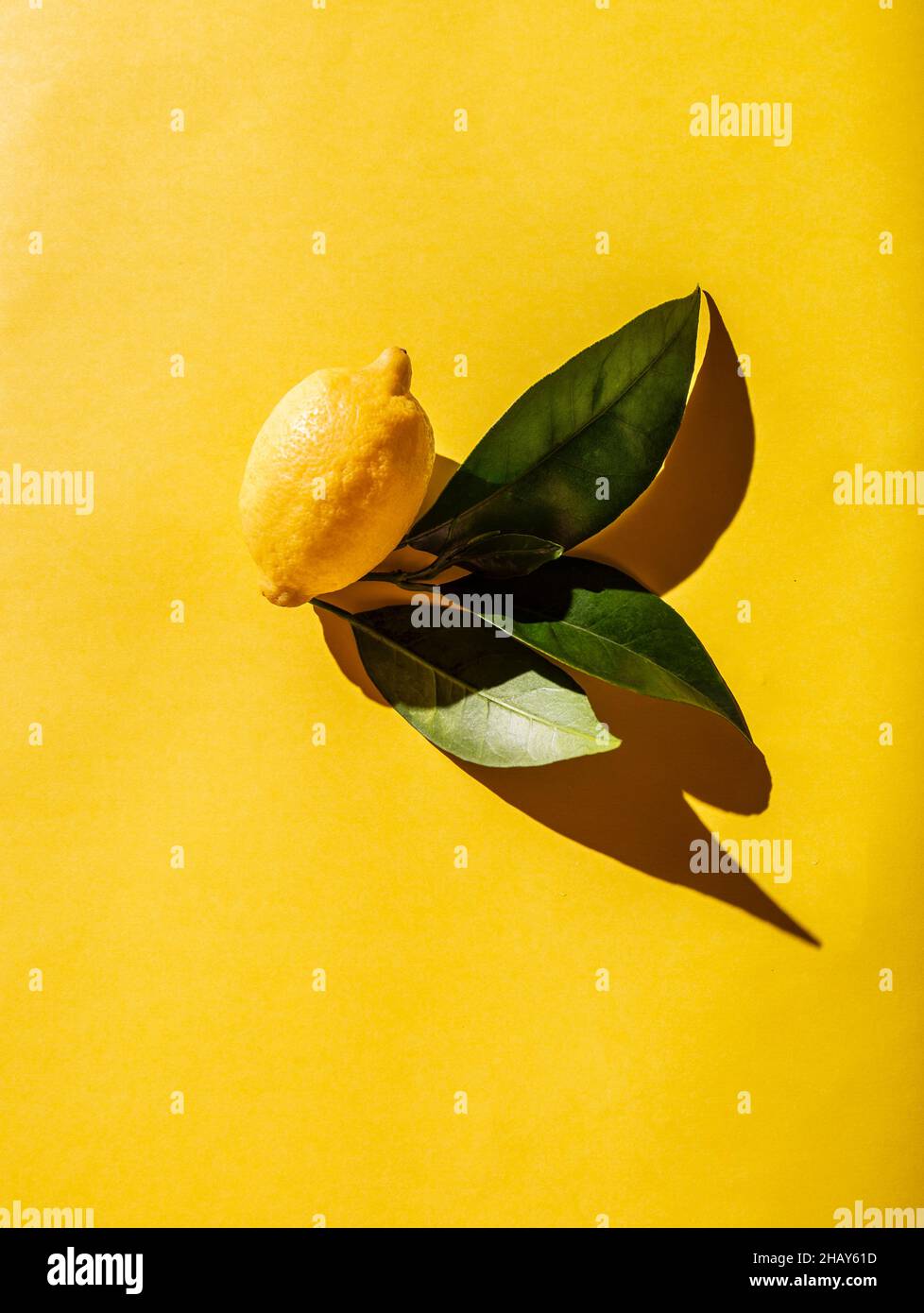 Fresh lemon with lemon tree leaves on yellow background. Stock Photo