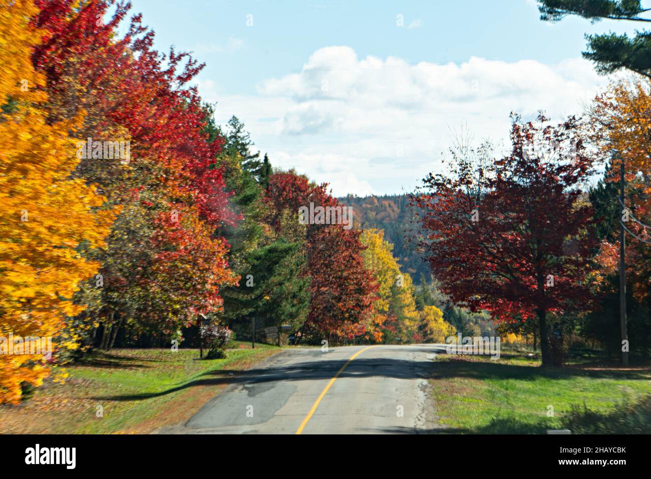 Road in a forest with colorful trees in autumn Stock Photo - Alamy