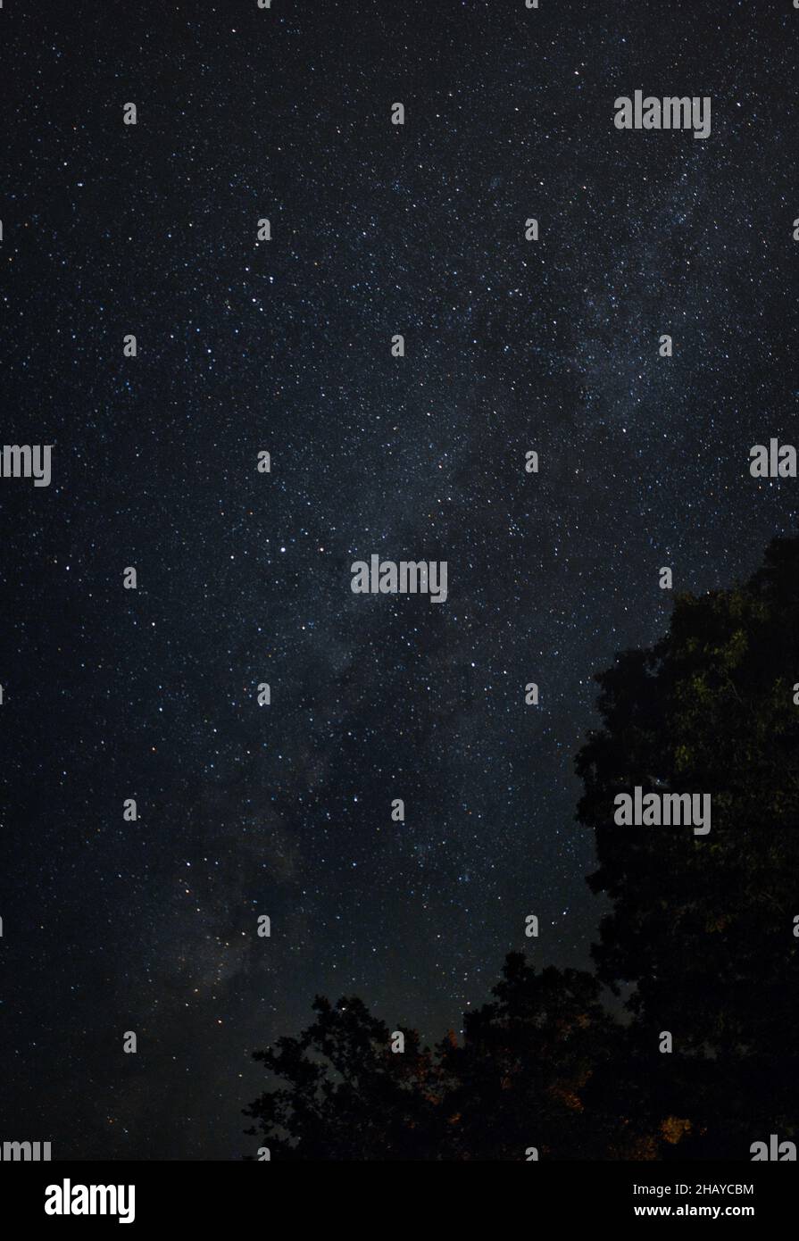 Vertical shot of the milky way in the starry night sky Stock Photo - Alamy