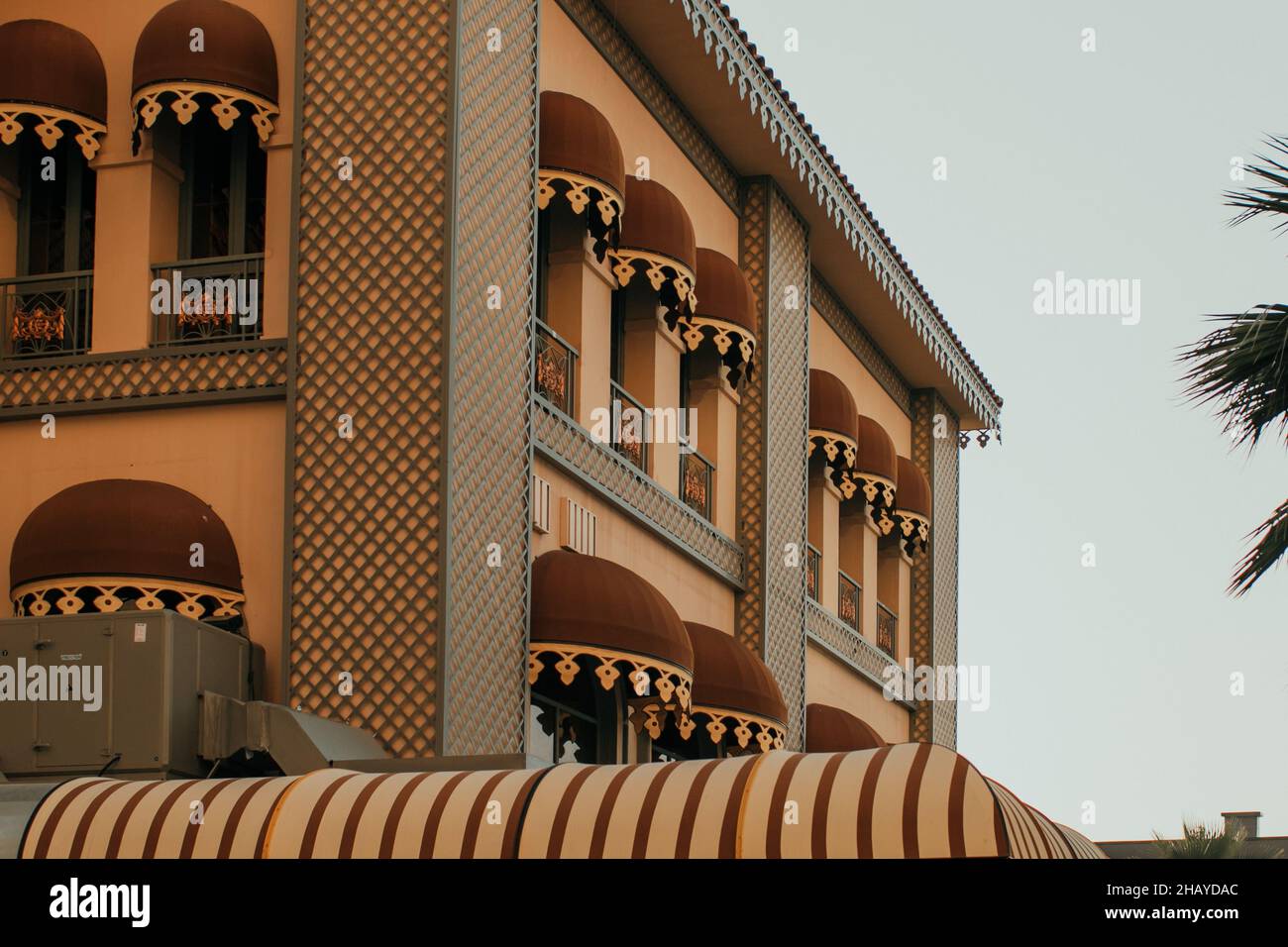 Palm trees modern buildings hi-res stock photography and images - Alamy