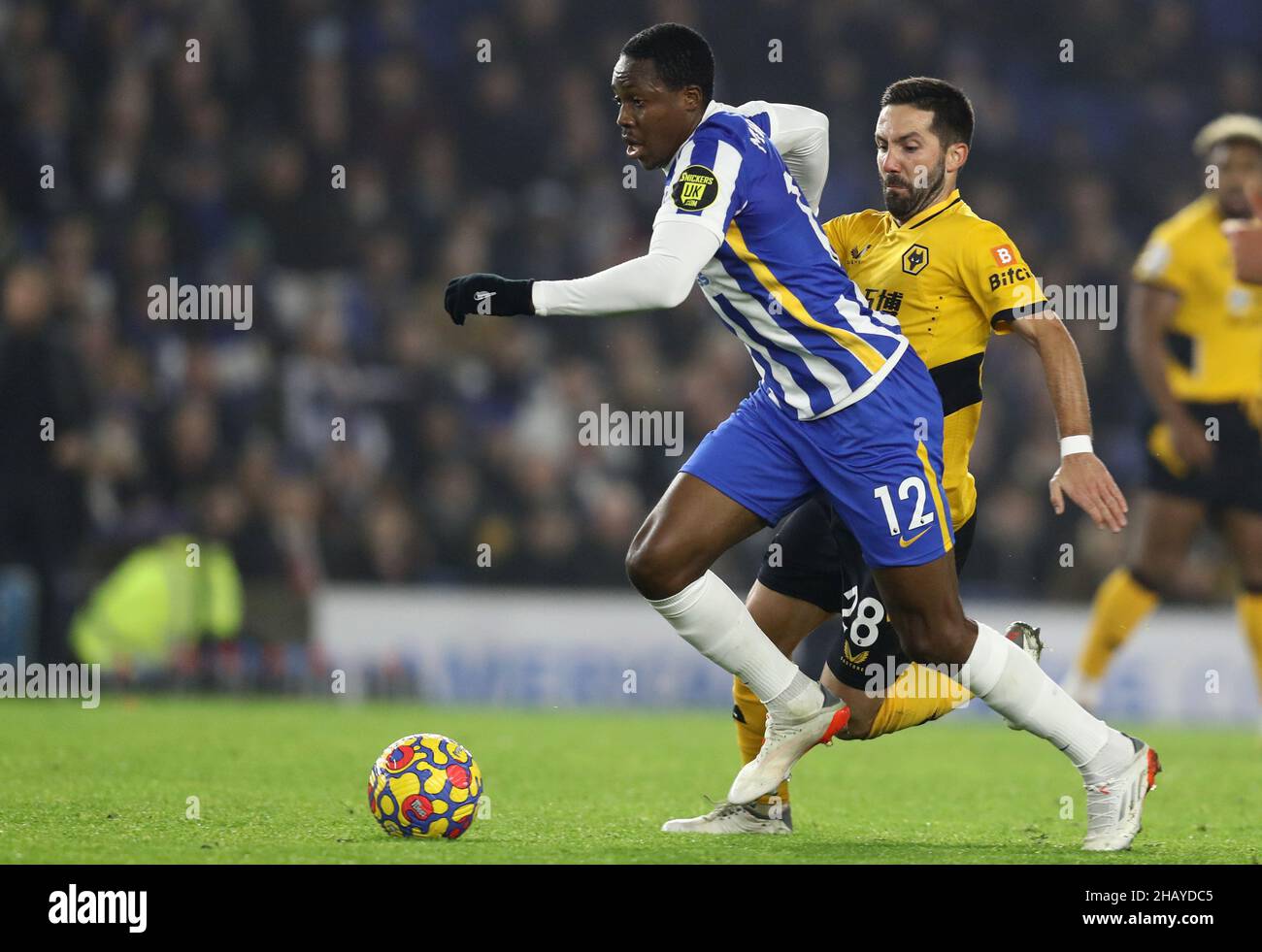 Brighton and Hove, England, 15th December 2021. Enock Mwepu of Brighton and Hove Albion is challenged by João Moutinho of Wolverhampton Wanderers during the Premier League match at the AMEX Stadium, Brighton and Hove. Picture credit should read: Paul Terry / Sportimage Stock Photo