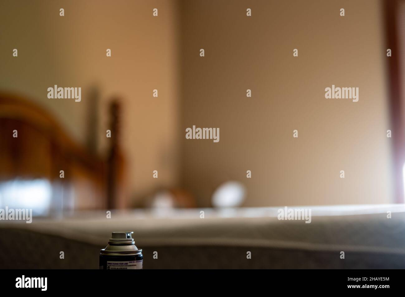 Selective focus on insect insecticide aerosol can fogger used to kill