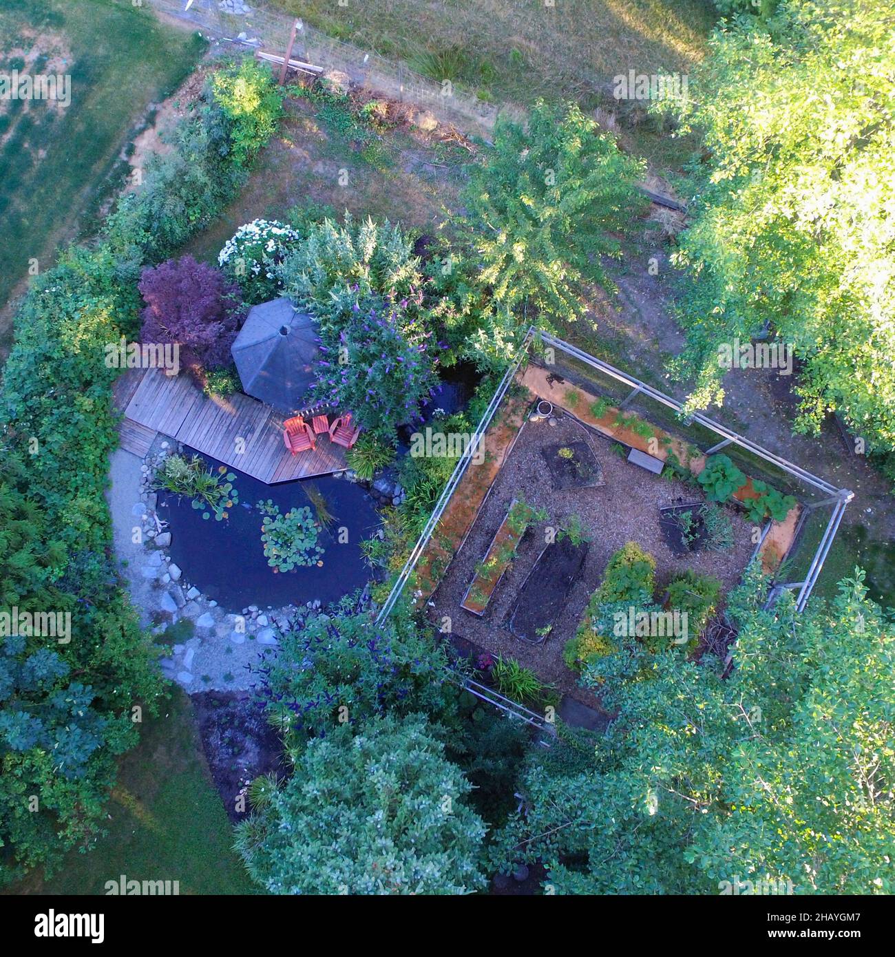 Aerial view of a garden, vegetable patch and decking by a pond, British Columbia, Canada Stock Photo