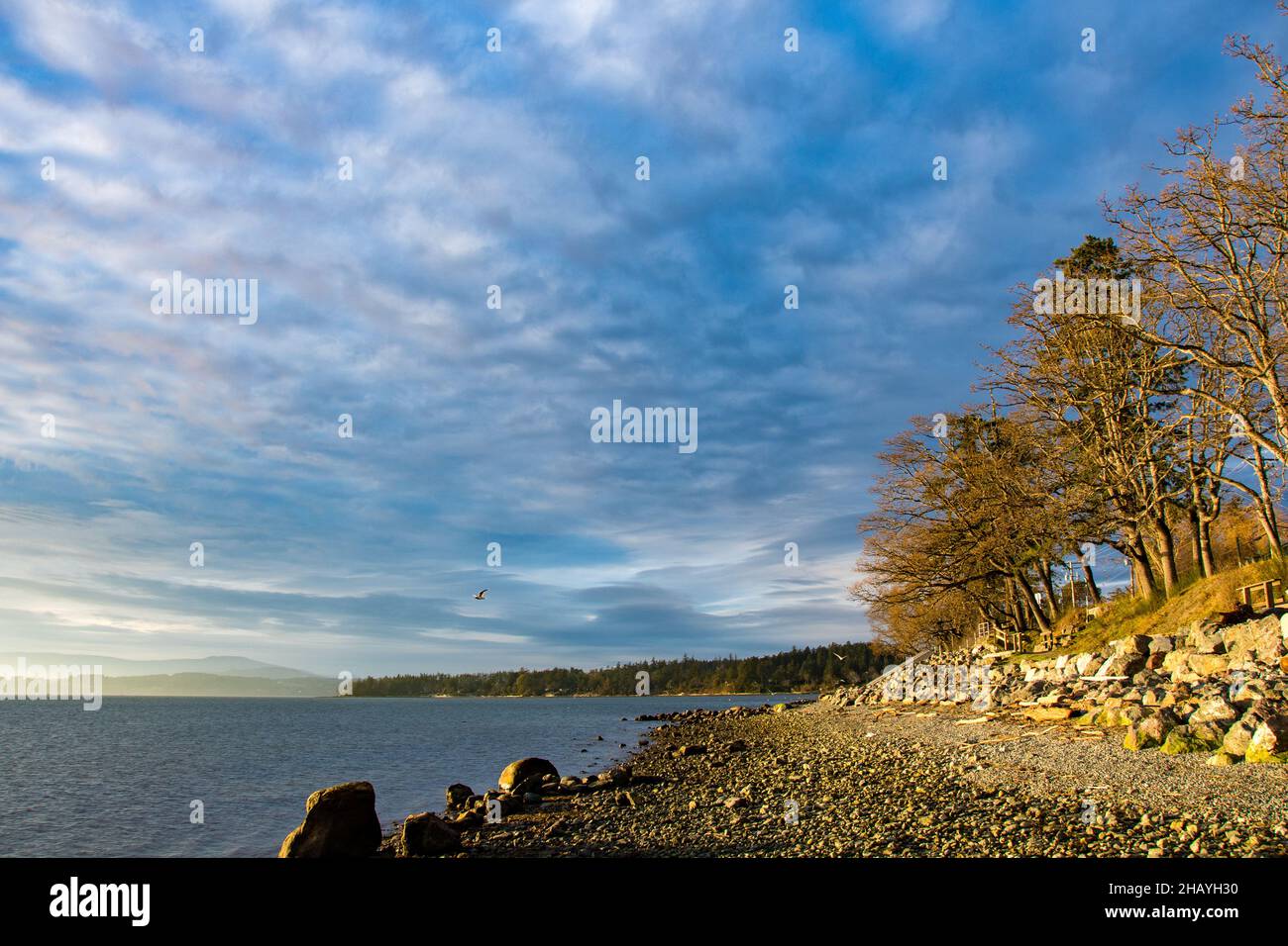 Rocky beach coastline, Patricia Bay, North Saanich, Saanich Peninsula, British Columbia, Canada Stock Photo