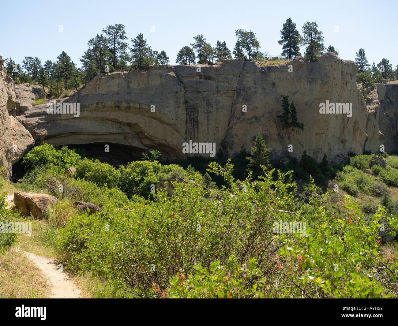 Unpaved path leading to a cave in Pictograph Cave State Park near Billings, Montana, with summer foliage in the foreground. Stock Photo