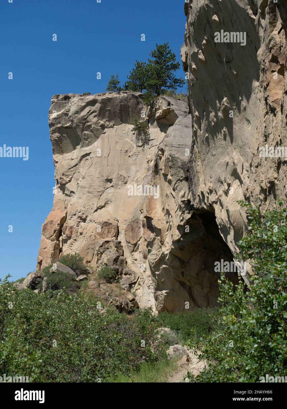 An unpaved trail leading up a hillside to the entrance of a cave at Pictograph Cave State Park near Billings, Montana with vegetation in foreground. Stock Photo