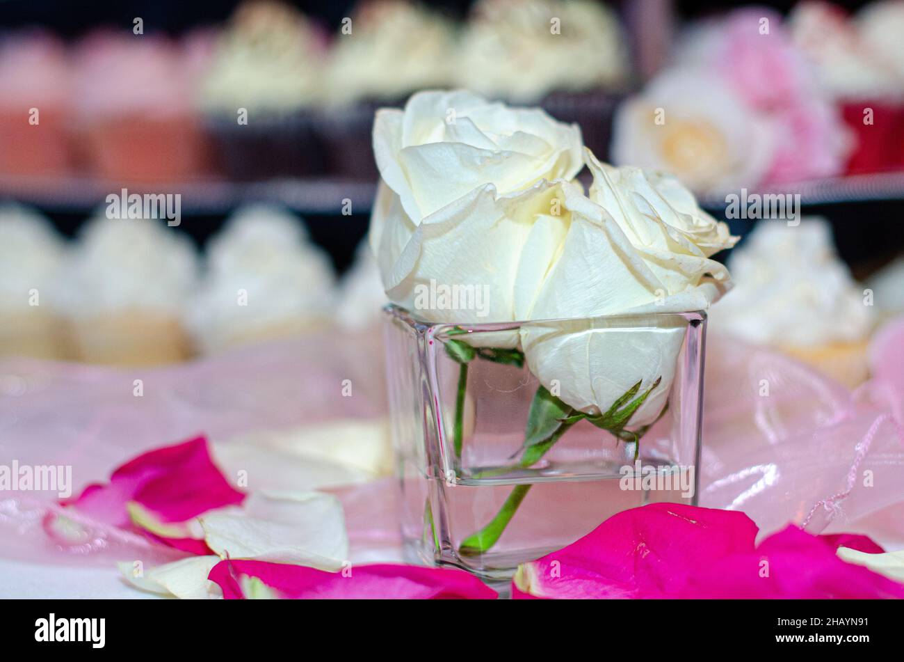 Two white roses table centerpiece Stock Photo Alamy