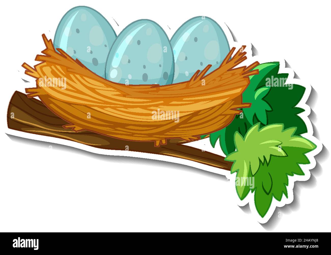 Bird eggs with nest on a tree branch illustration Stock Vector Image ...