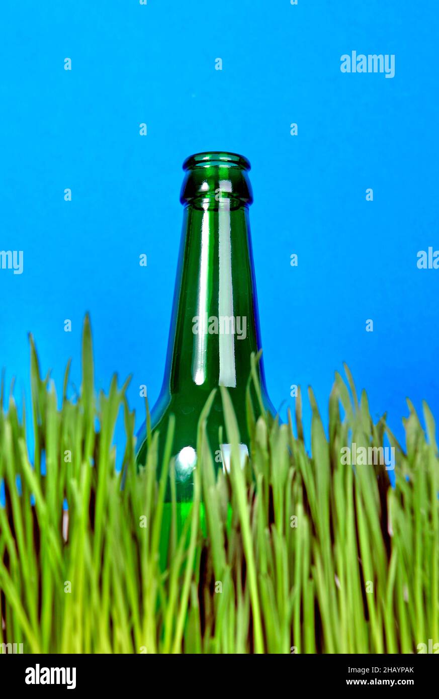 Green Bottle in the Grass on the Blue Background Stock Photo - Alamy