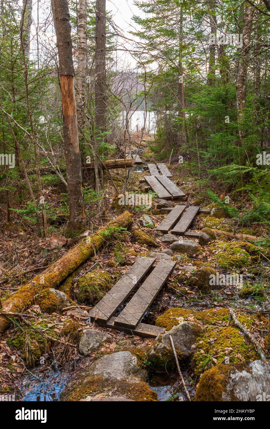 Planks forming small bridges on a hiking trail by Kettle Pond ...