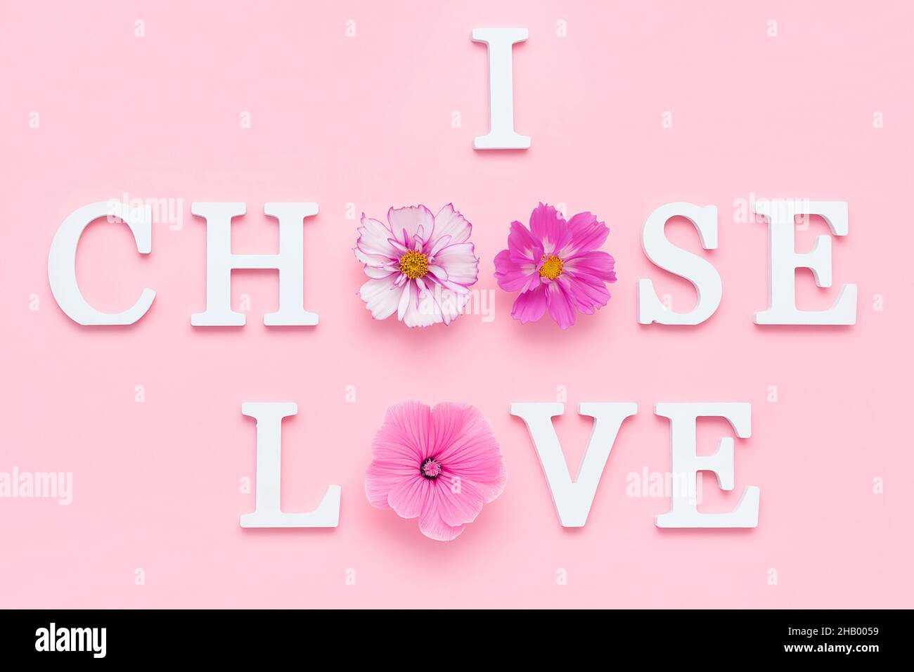 I choose love. Motivational quote from white letters and beauty natural flowers on pink background. Creative concept Happy Valentine's Day. Stock Photo