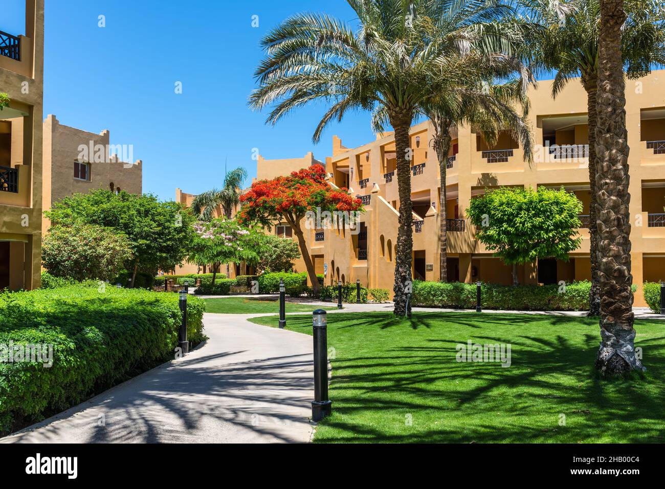 Hurghada, Egypt - May 25, 2021: View of the hotel's villas and flowering tree of the Stella Di Mare Beach Resort and Spa located in Makadi Bay, which Stock Photo