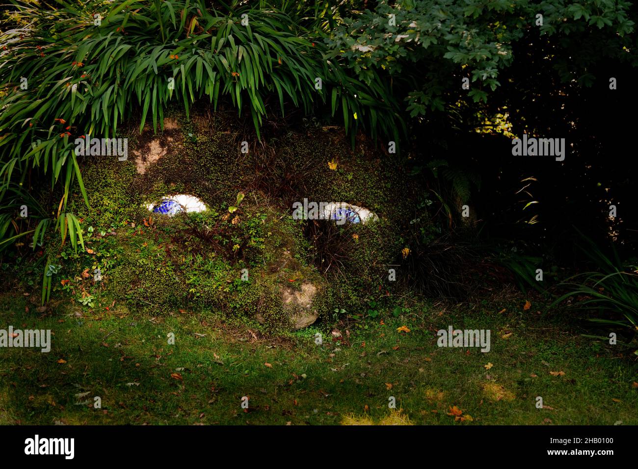 Mound containing a face (Giant’s Head by Richard Brookes), The Lost Gardens of Heligan, Cornwall, UK Stock Photo