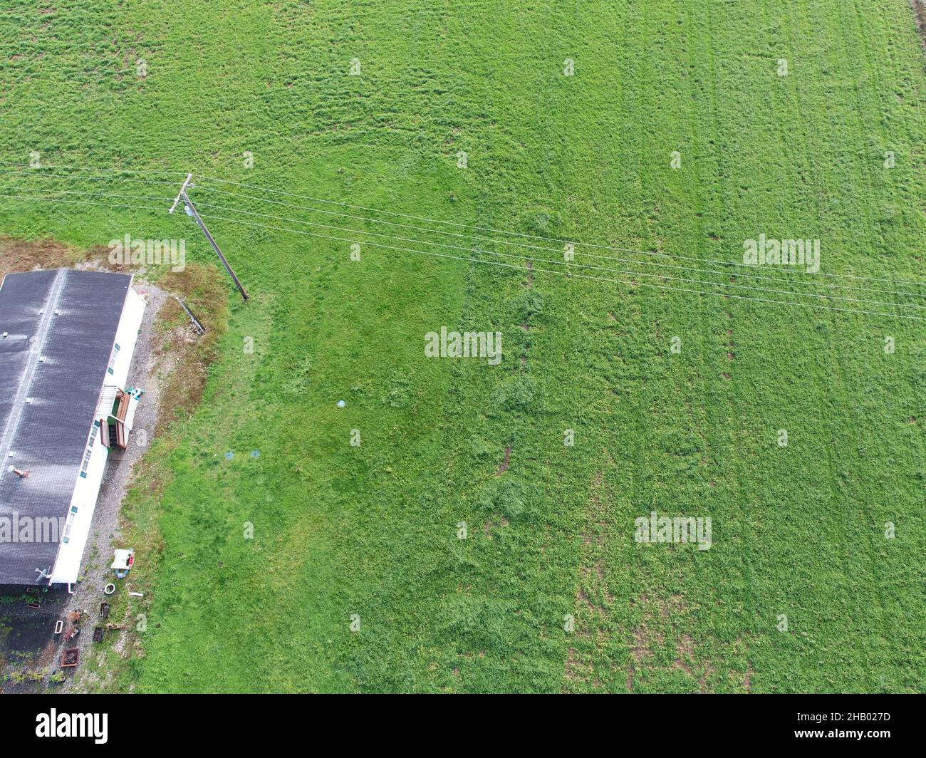 A view of farm fields in the US that will be harvested as hay Stock Photo