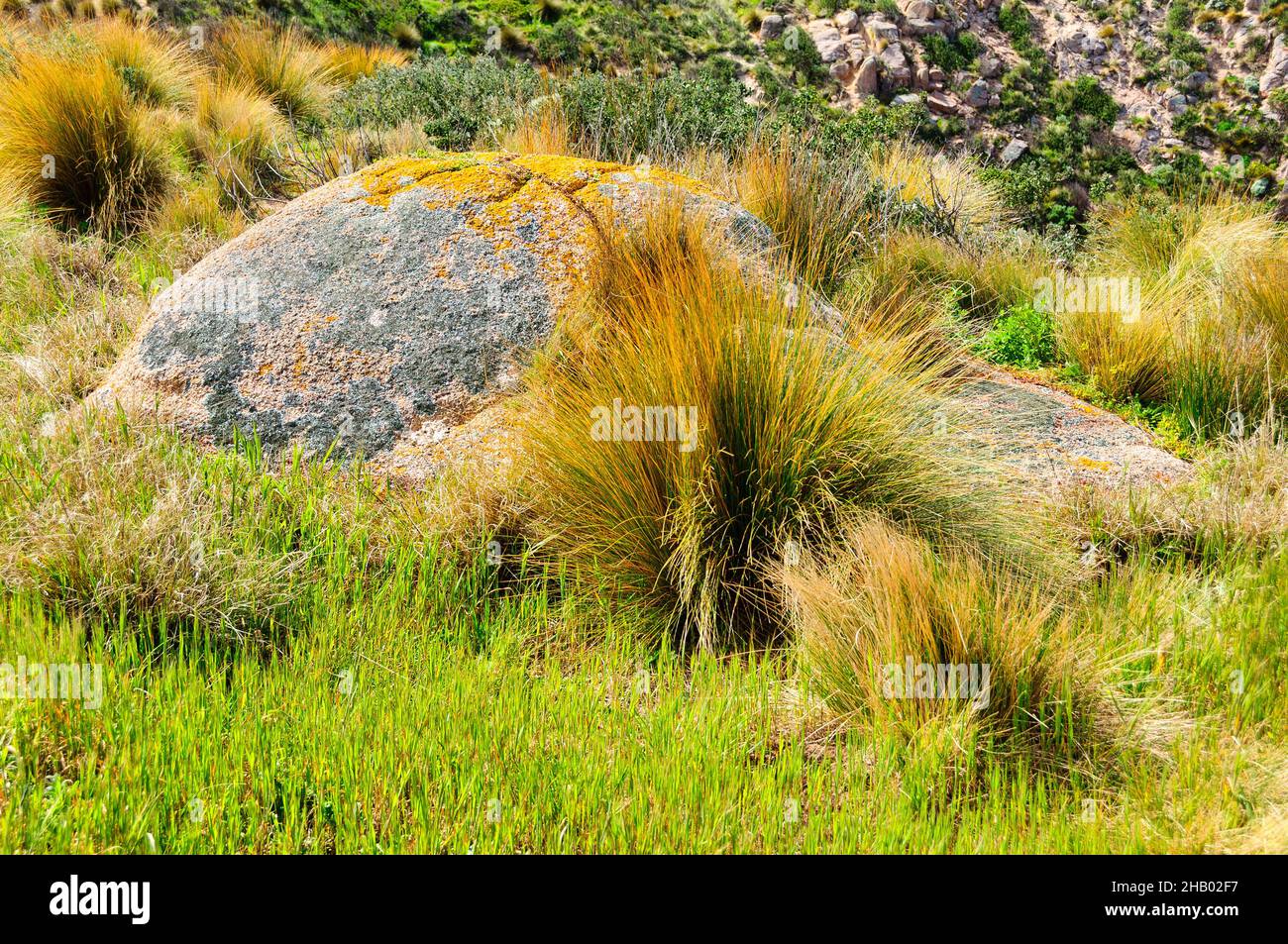 Granite rock boulder at Cape Woolamai - Phillip Island, Victoria, Australia Stock Photo