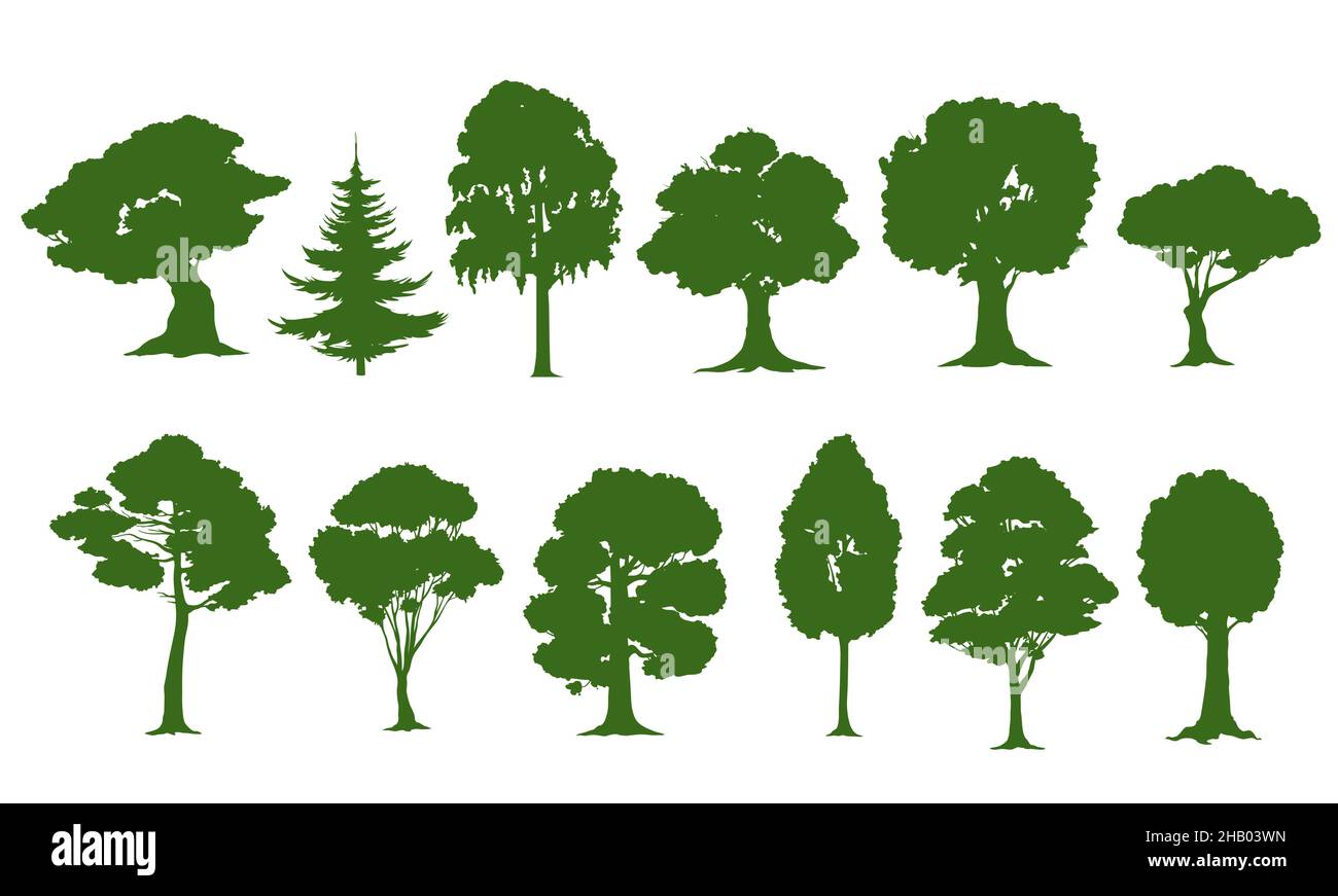 Isolated tree silhouettes, vector forest or garden green trees. Oak, pine, spruce fir or birch, willow and maple, nature woods with leaves and bushes, Stock Vector